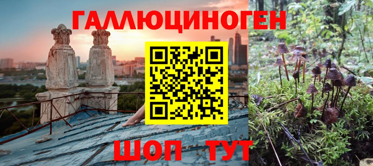 Псилоцибиновые грибы Magic Shrooms  Вход с VPN  Шатура 