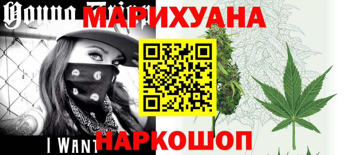 Каннабис планчик Шатура